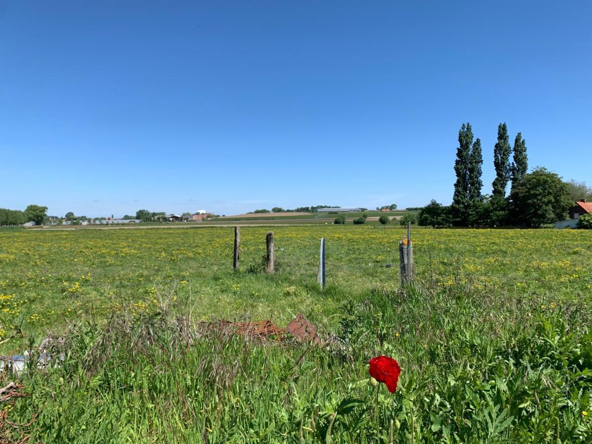 Koekeloeren Vila Hooglede Exterior foto